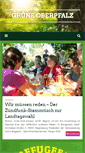 Mobile Screenshot of gruene-oberpfalz.de